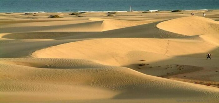 playa de maspalomas con dunas